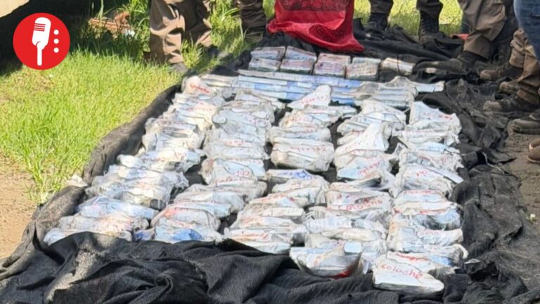 Golpe al crimen en Chiapas: decomisan más de 100 armas y cocaína en Tapachula