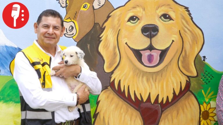 Puebla abrirá en junio de 2026 su primer Centro de Bienestar Animal