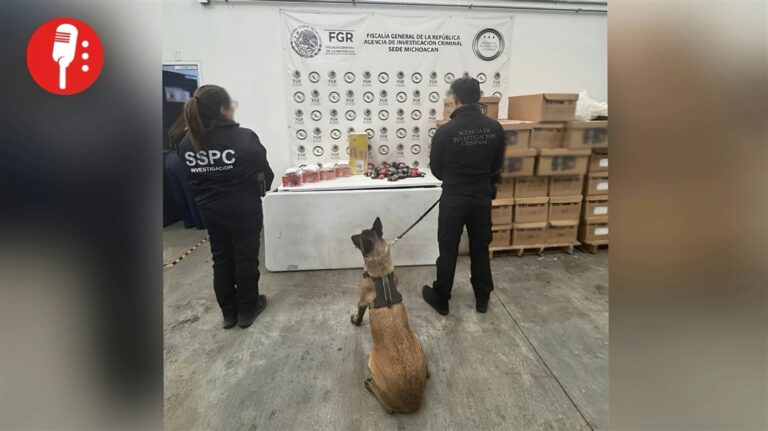 Perro policía descubre dos kilos de metanfetamina en cajas de dulces
