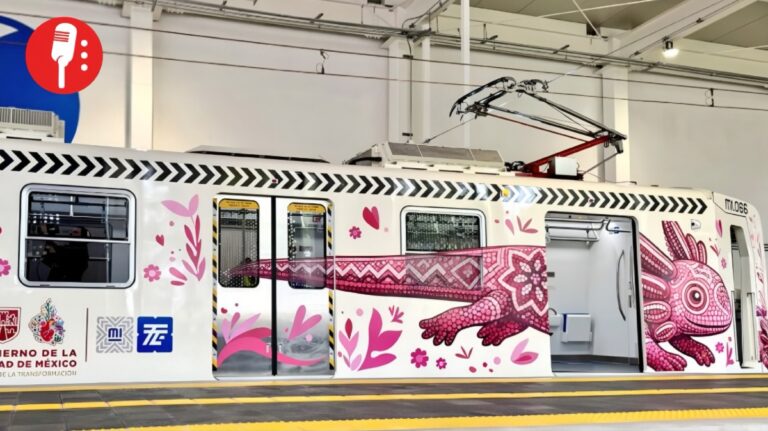 Tren Ligero “El Ajolote” marca récord histórico de pasajeros