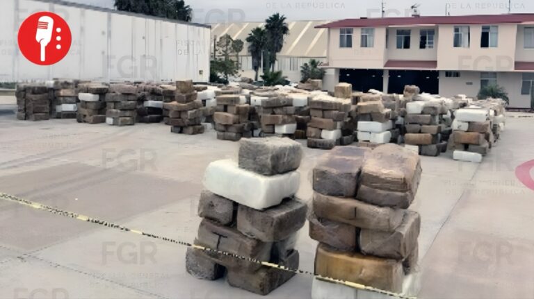 Fiscalía incinera más de 12 toneladas de marihuana en Baja California