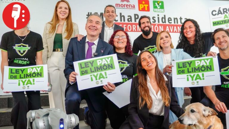 Ley Pay de Limón busca que crueldad animal no quede impune