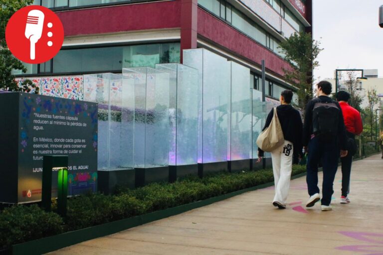 Clara Brugada inaugura Jardin Flotante en Tlalpan, un segundo piso para caminar, convivir y disfrutar