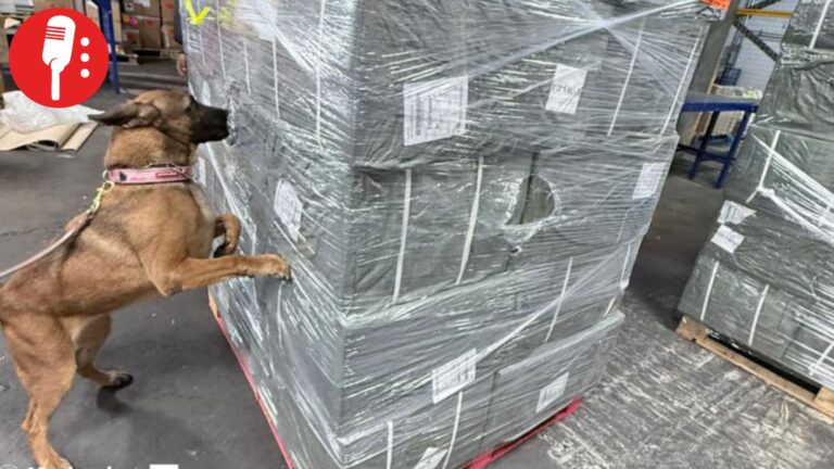 Golpe al contrabando: más de 4 mil kilos de cigarrillos decomisados en AICM