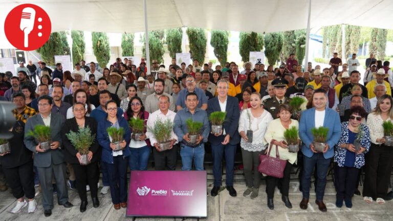 Inician jornadas de reforestación en capital poblana durante 2026