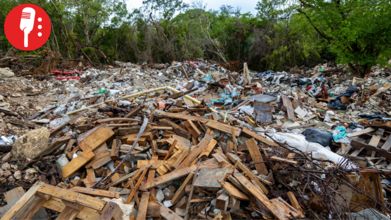 Playa del Carmen va por cero tolerancia contra quienes dañen el medio ambiente