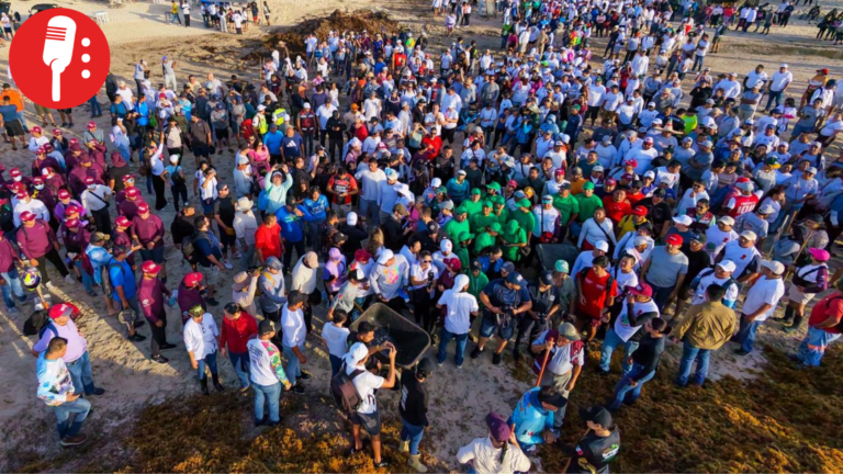 Más de 2 mil personas se suman a limpieza masiva contra sargazo en Playa del Carmen