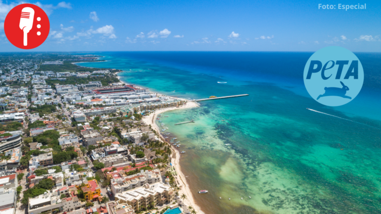 PETA reconoce a Playa del Carmen por acciones en favor del bienestar animal