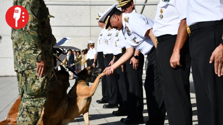 Semar jubila a Niko, Hunter e Hidra: los héroes de cuatro patas que sirvieron a México