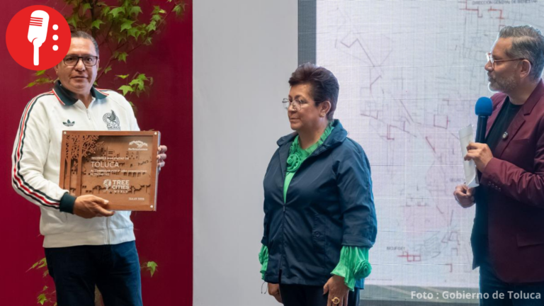 Toluca sembrará 126 mil árboles para combatir islas de calor