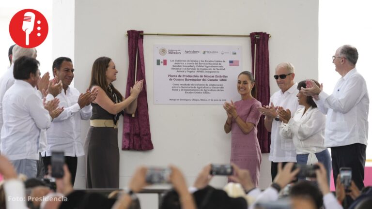 Sheinbaum inaugura planta productora de moscas estériles para combatir al gusano barrenador