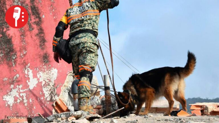 Binomios caninos del Ejército Mexicano rescatan a tres personas y localizan 20 cuerpos en Venezuela