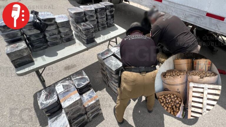 FGR asegura 916 kilos de metanfetamina ocultos en cargamento de jícamas en Durango