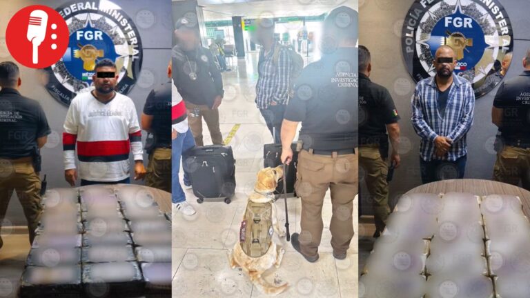 Perrito ayuda a decomisar 52 kilos de cocaína en el aeropuerto de Tijuana