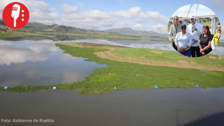Puebla anuncia rescate del lago de Valsequillo; retirarán lirio que cubre el 75%