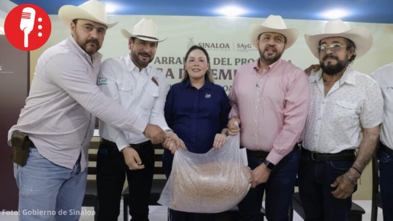 Sinaloa destina 12.5 mdp para entregar 23 mil 800 bolsas de semilla de sorgo a ganaderos