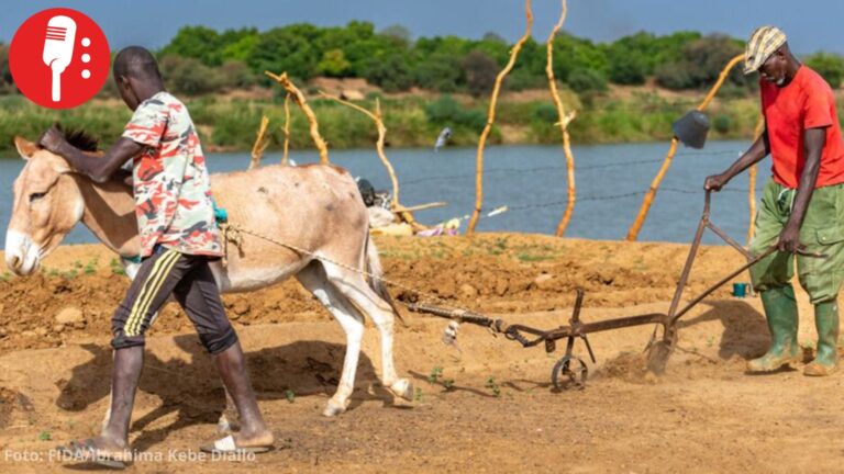 Alza de la energía por conflicto en Oriente Medio amenaza economías vulnerables: ONU