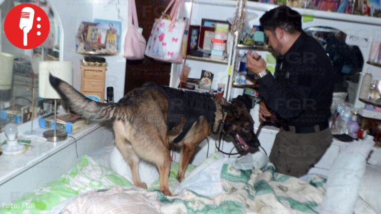 Asegura FGR 300 dosis de droga y detiene a tres personas en cateo en Apizaco