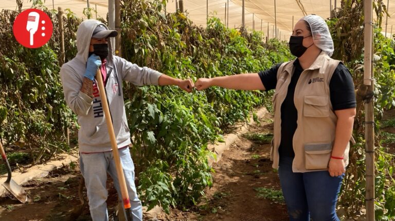 El INEA lleva educación básica a casi mil jornaleros migrantes