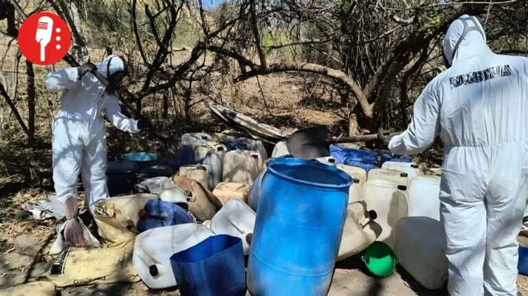 Golpe al crimen: caen laboratorio de metanfetamina y toma clandestina de Pemex