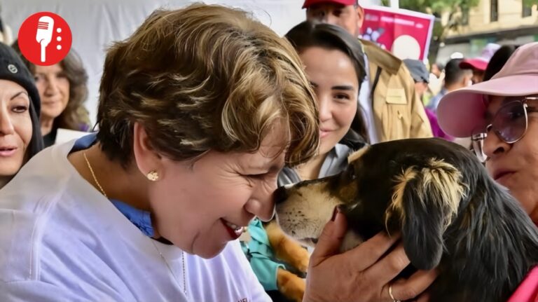 Edomex reconoce a las mascotas como parte de la familia y castiga su maltrato con cárcel
