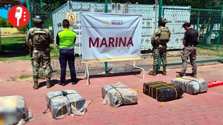 Cocaína en Manzanillo: aseguran 270 kilos ocultos en un contenedor