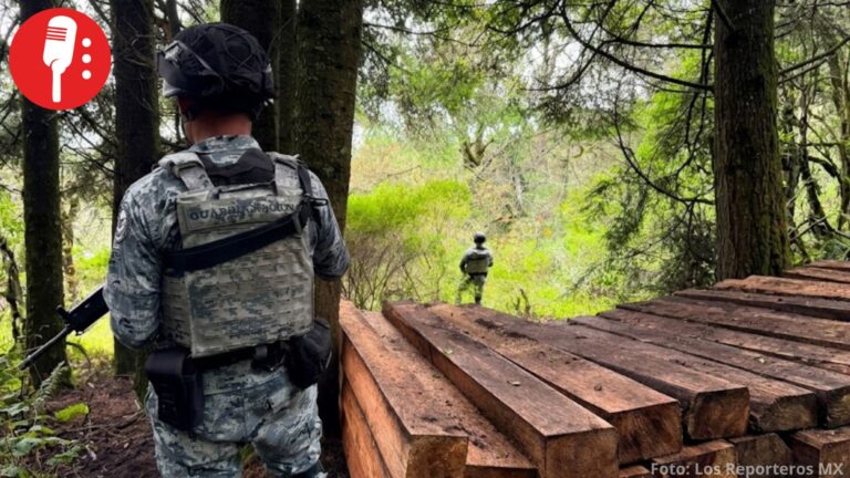 Guardia Nacional asegura dos toneladas de madera talada ilegalmente en Parque Nacional Ajusco