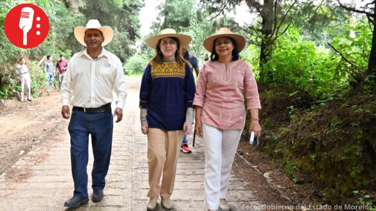 Más maquinaria para el campo: Morelos invierte en agua y caminos para productores de aguacate