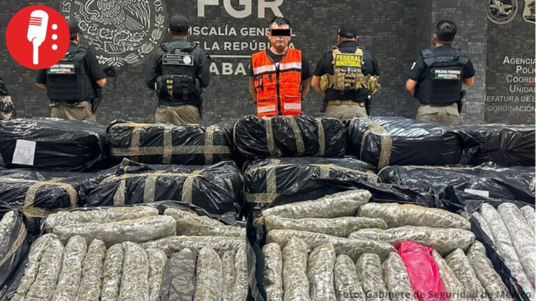 Aseguran más de una tonelada de marihuana en Tabasco