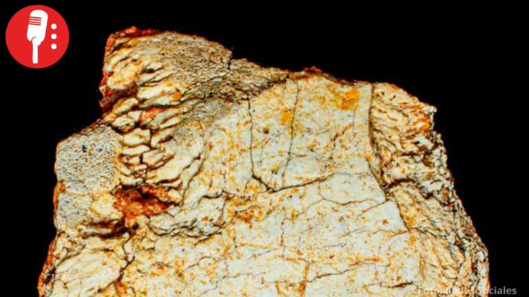Descubren fósil craneal de más de 200 mil años en España