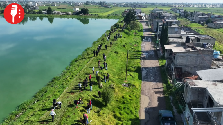 Inicia rescate ambiental del humedal Bordo San Jerónimo en Toluca