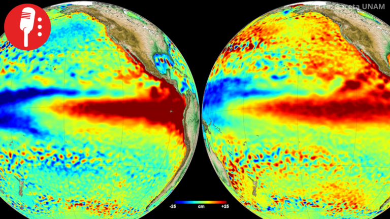 ONU alerta: El Niño evoluciona rápidamente hacia un episodio fuerte