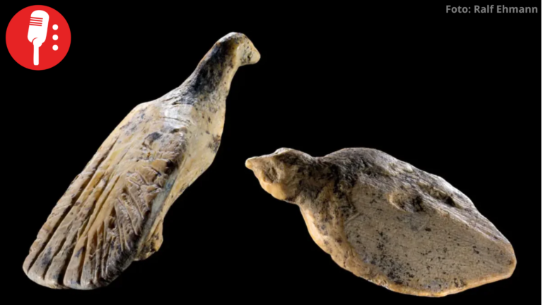Hallan en Alemania dos aves talladas en marfil hace 40 mil años