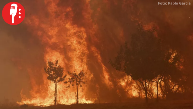 España combate el peor incendio forestal de su historia reciente