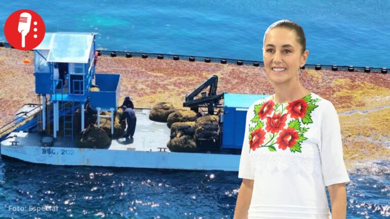 Sheinbaum reforzará combate al sargazo en Quintana Roo con más barcos y plan de reciclaje