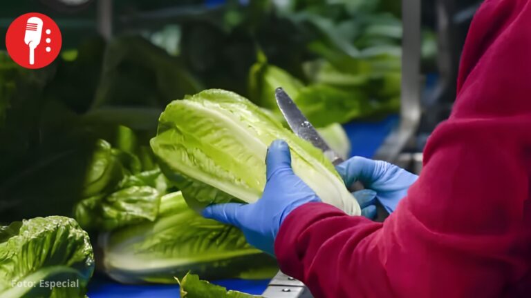 FDA se retracta: descarta que lechuga mexicana provocara brote de diarrea explosiva