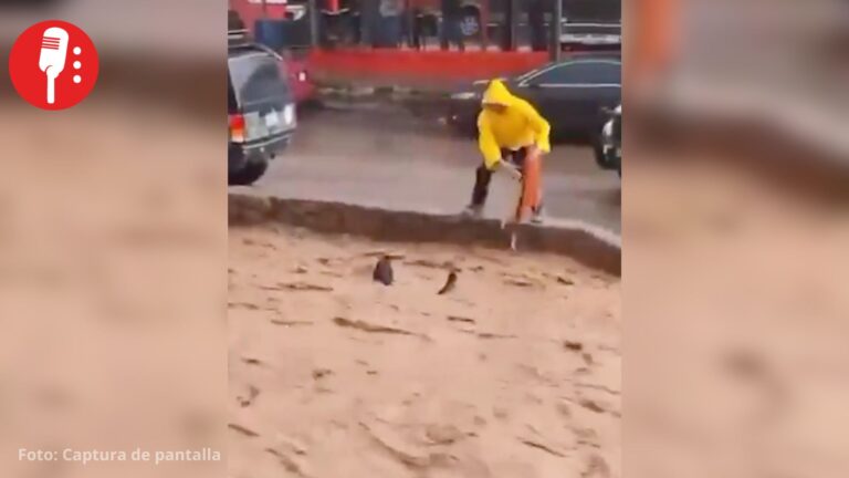 Joven rescata a perrito que era arrastrado por la corriente en Sonora