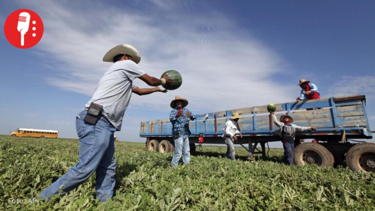Juez frena a Trump y protege permisos de trabajadores migrantes en EUA