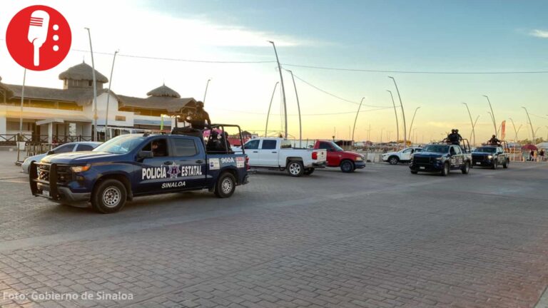 Aseguran armas, drogas y precursores químicos en operativo semanal en Sinaloa