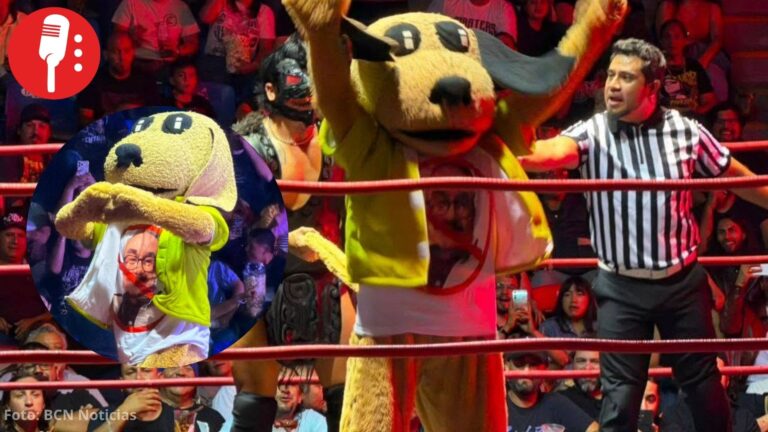 Wisin, el perrito luchador, protesta contra Pedro Sola por comentarios sobre envenenar perros