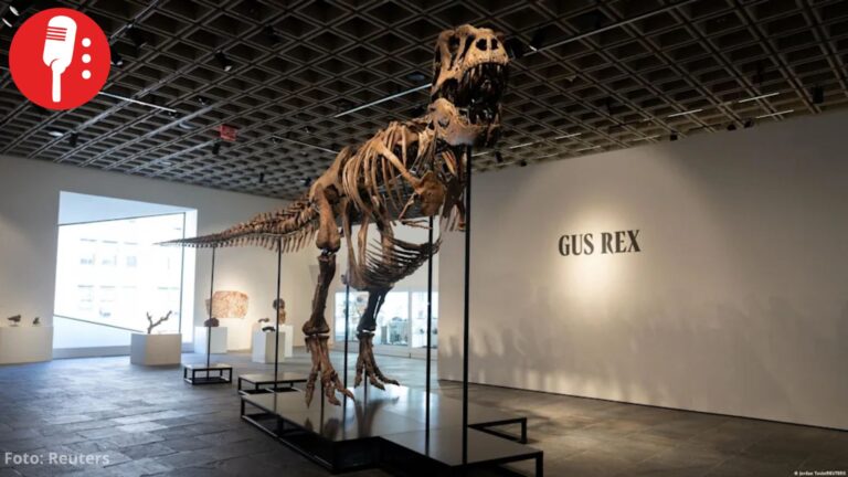 Subastan esqueleto de T-Rex por 50.1 millones de dólares; rompe récord mundial
