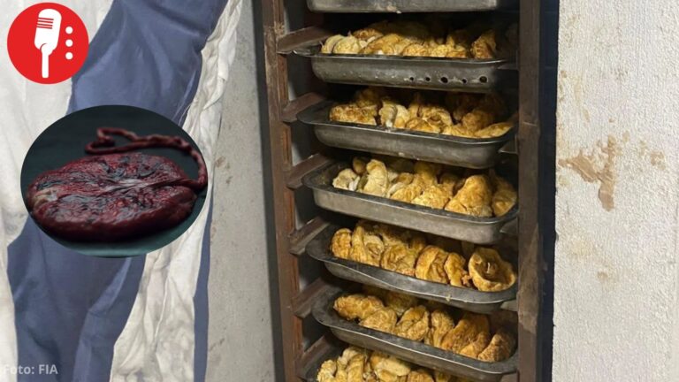 Desmantelan en Pakistán red que traficaba placentas humanas para fabricar productos antienvejecimiento