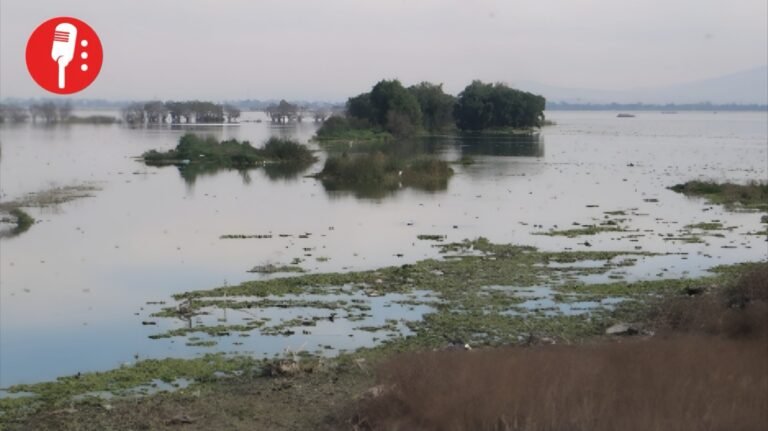 Conagua avanza en el rescate ecológico de la laguna de Zumpango