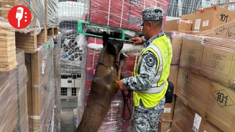 Aduanas detecta 84 mil cigarrillos apócrifos en el AIFA