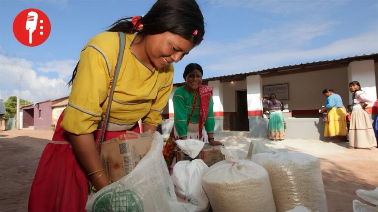 Alimentación para el Bienestar rompe récord en compra de maíz y frijol