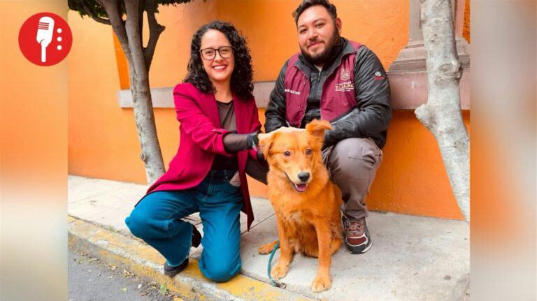 Perrito abandonado en Tlalpan ya está a salvo