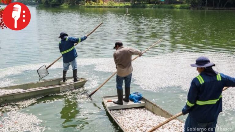 Gobierno de Tabasco activa operativo urgente por crisis en Laguna de Las Ilusiones