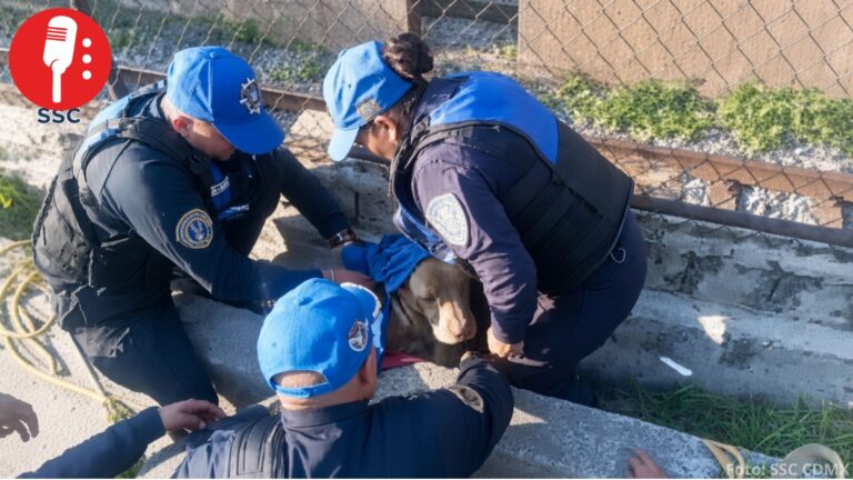 Policías de la SSC rescatan a perrito atrapado en la calzada Ignacio Zaragoza