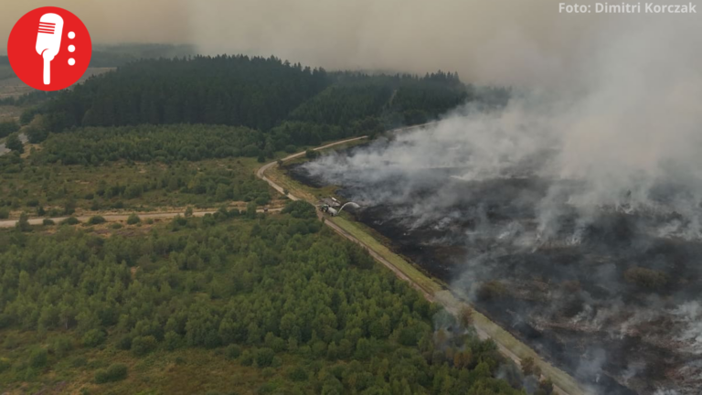 Bélgica enfrenta el mayor incendio forestal de su historia: más de 3 mil hectáreas
