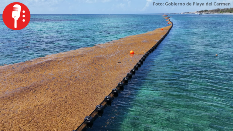 Playa del Carmen refuerza su litoral con cinco kilómetros de barreras antisargazo